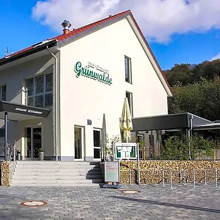 מלון Gruenwalde 3*